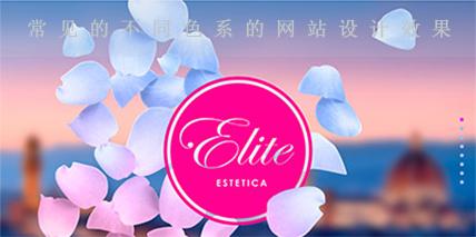 常見的不同色系的網(wǎng)站設(shè)計效果