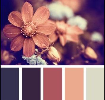 文率科技為您分享網(wǎng)頁設(shè)計顏色使用技巧